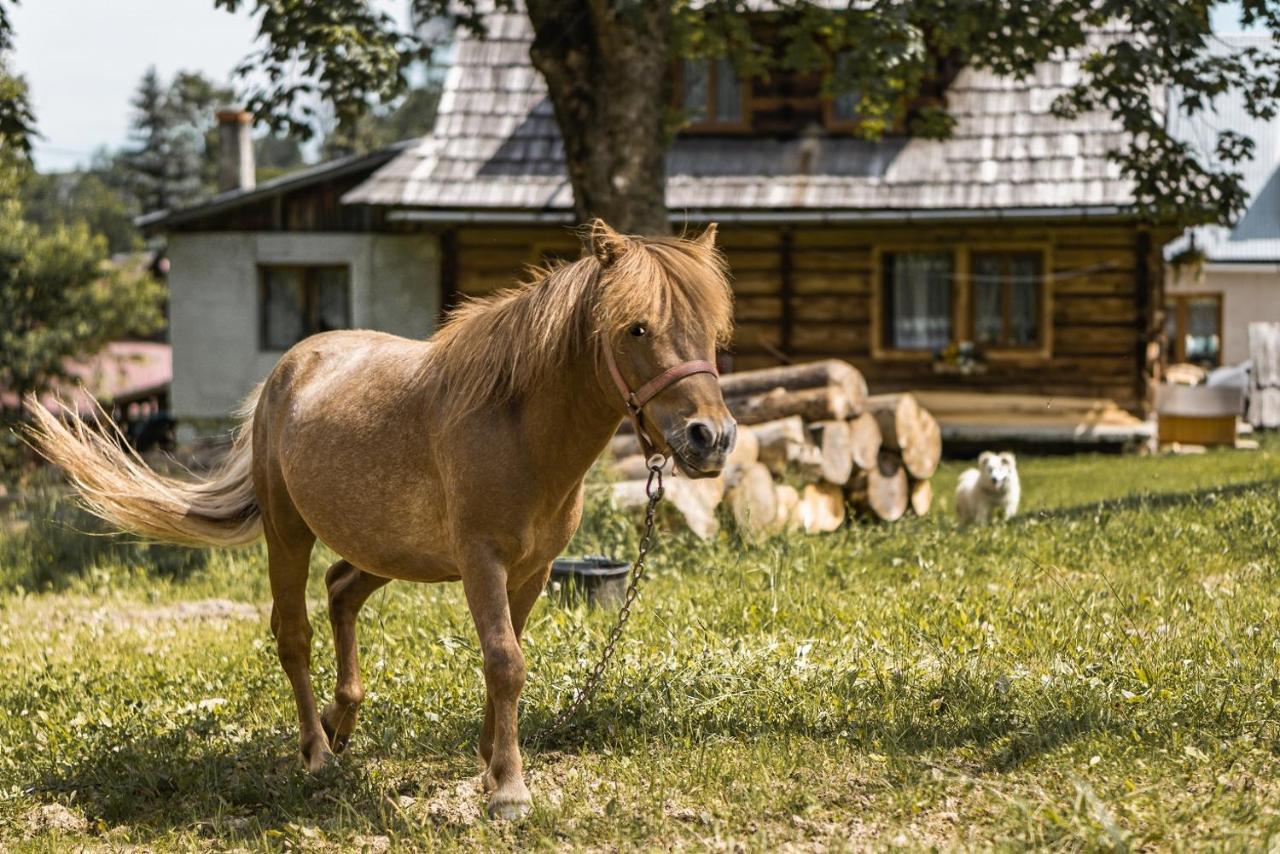 Dw Maria 2 Bed & Breakfast Zakopane Exterior photo